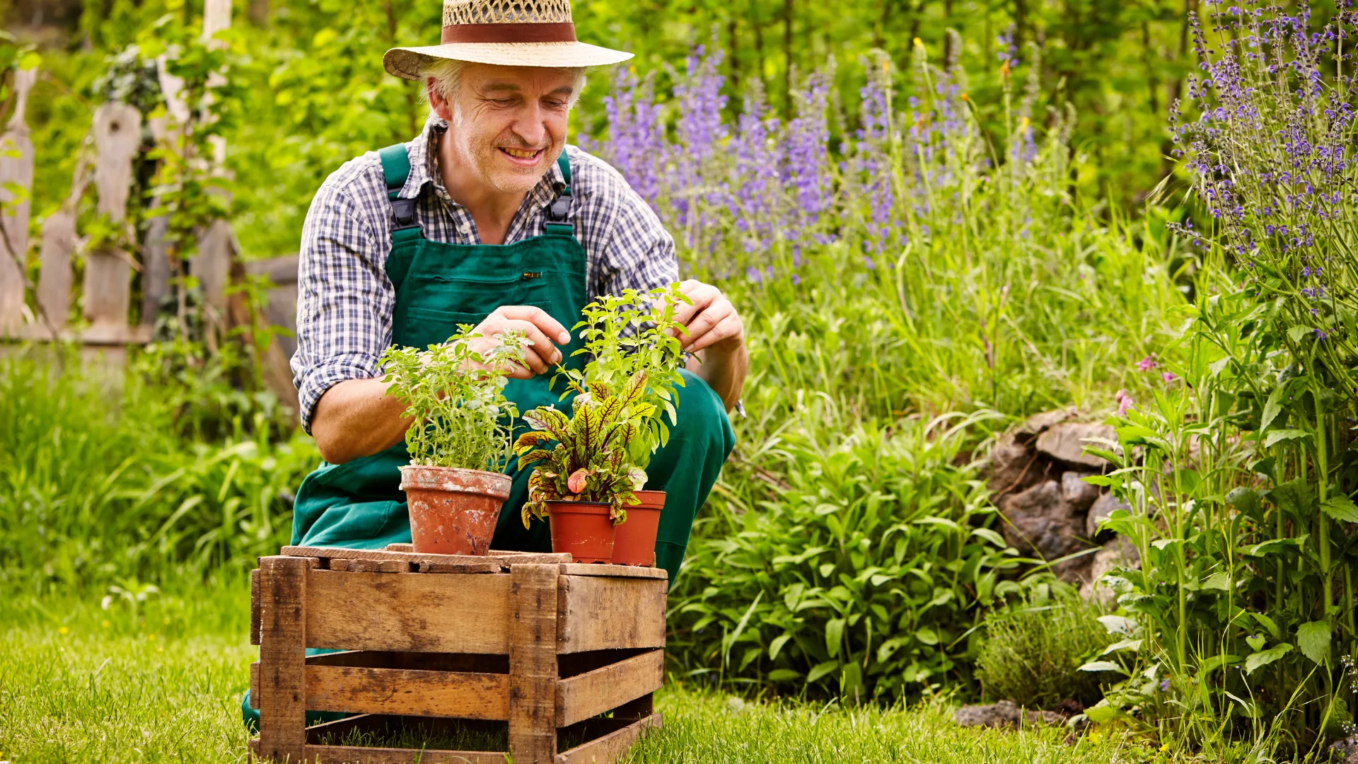 Côté Jardin - Professionnels | Vibes 432®