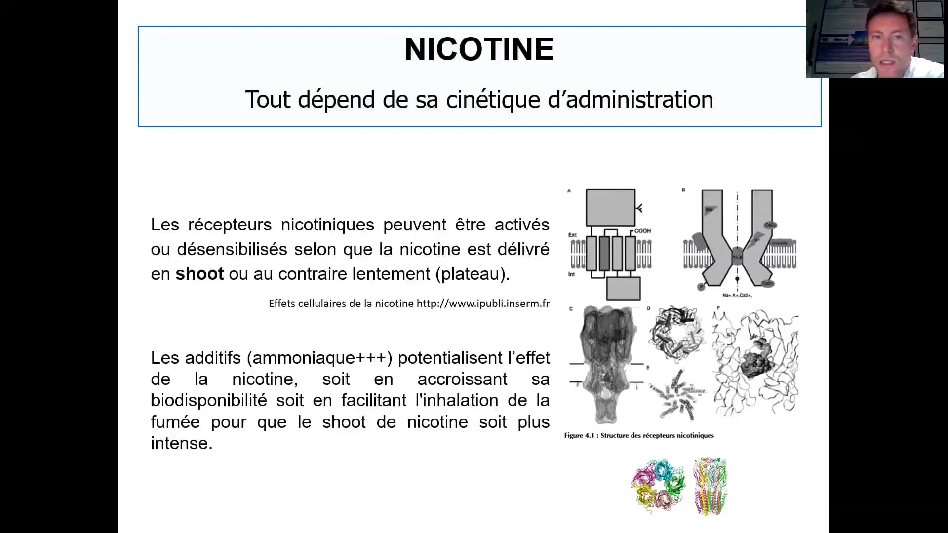 La minute sans tabac : La nicotine - Tabacologue à Toulouse - Olivier ...
