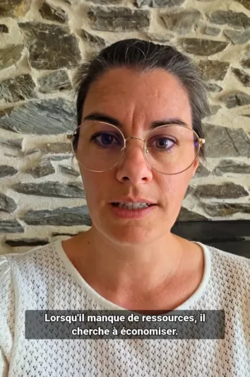 Naturopathe 